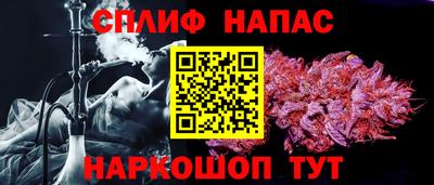 спиды Канаш