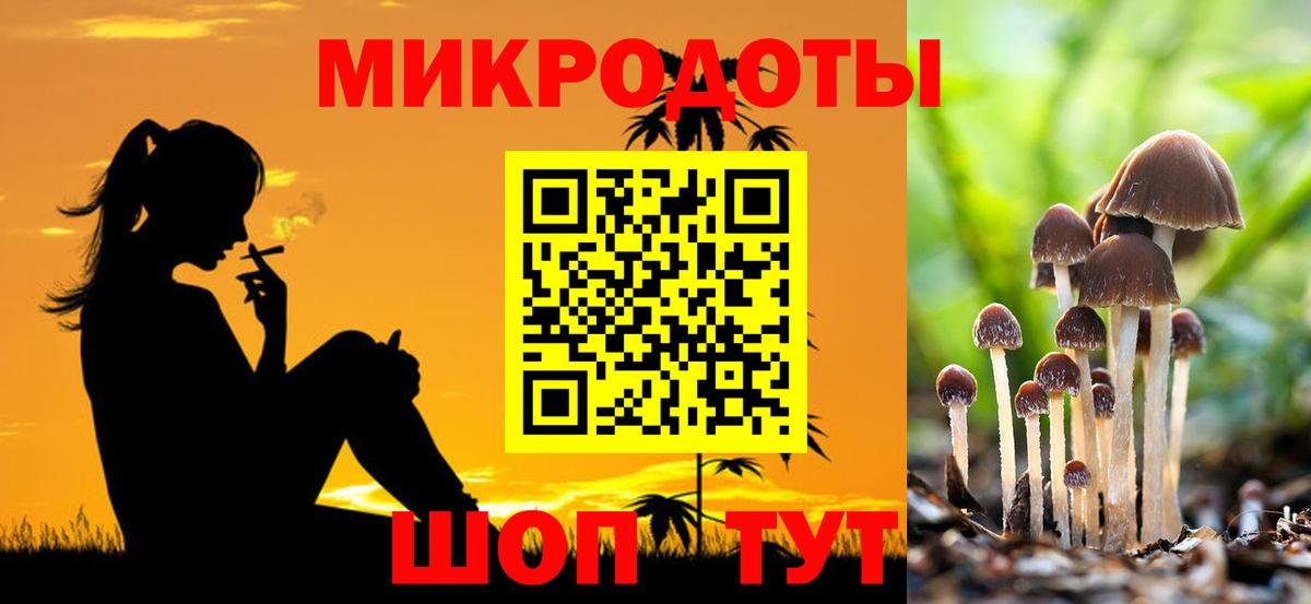 Галлюциногенные грибы Psilocybe Кушва