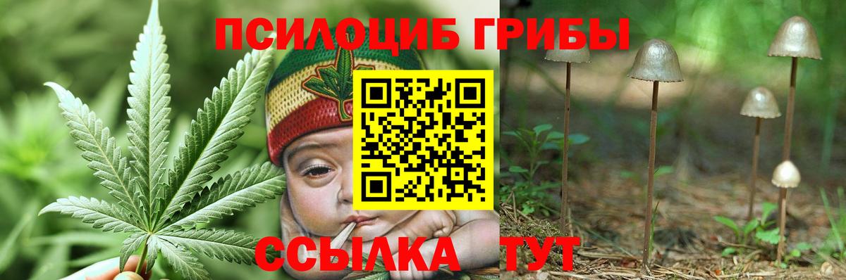Галлюциногенные грибы Psilocybe  Вход с VPN  Кушва 